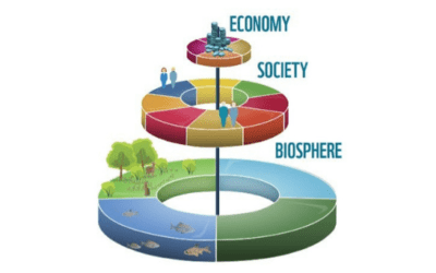 Climate action helps improve *every other issue at the same time*