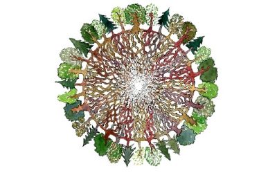 What makes someone a sustainability leader?