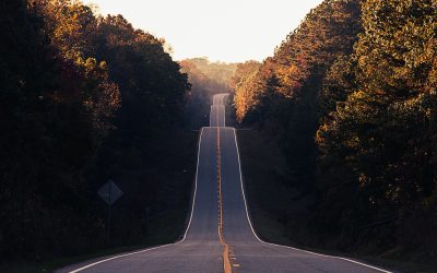 Your climate journey & climate action guide